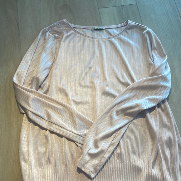 Sheer light pink long sleeve, Zara size M - Picture 1 of 3